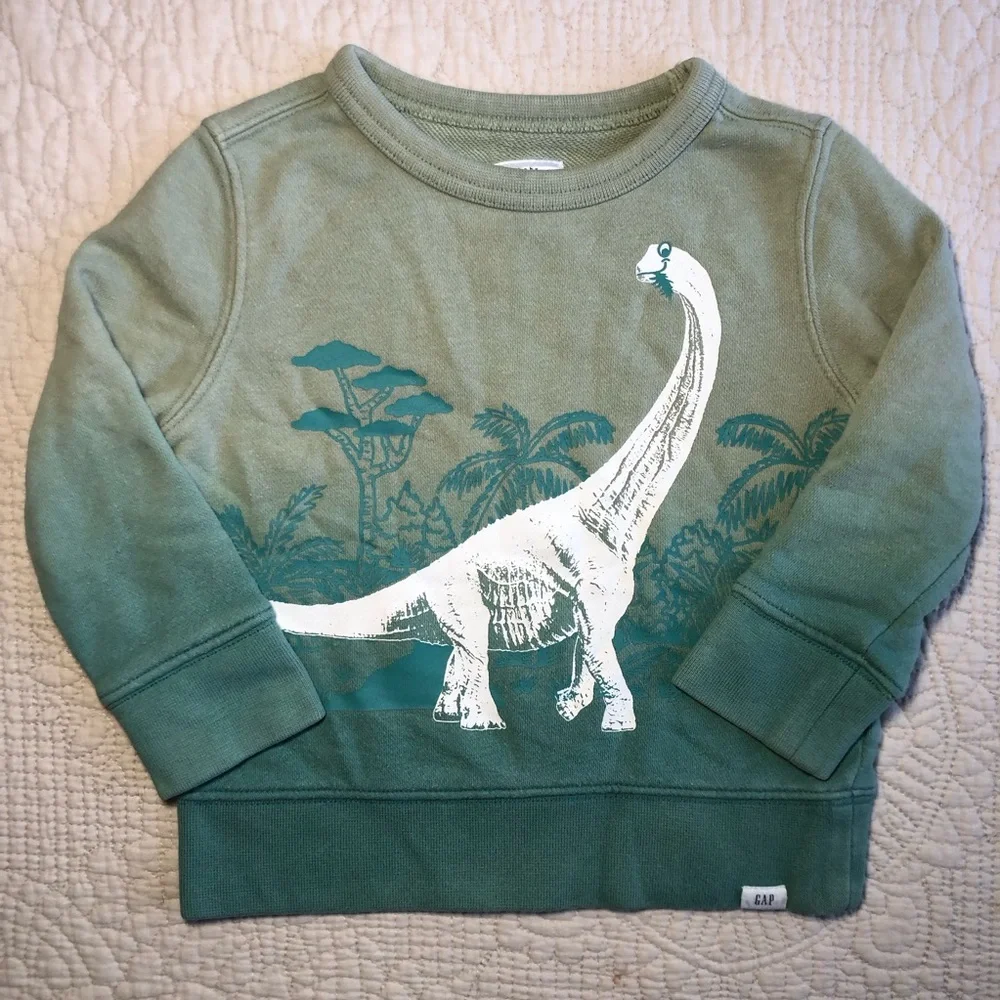 GAP Toddler Green Ombre Dinosaur “Reach for the sky” Sweatshirt Size 18 months
